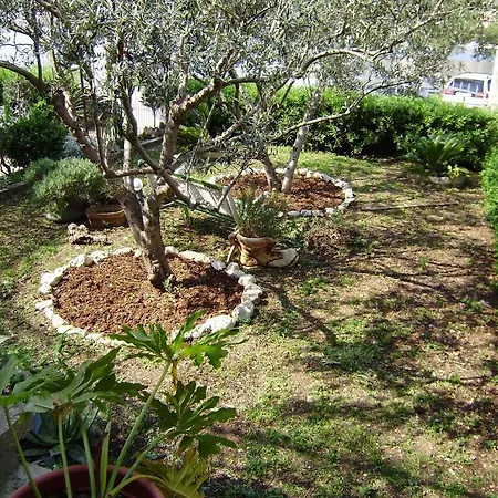 Апартаменты Kapetanovi Dvori